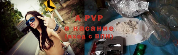 PSILOCYBIN Беломорск