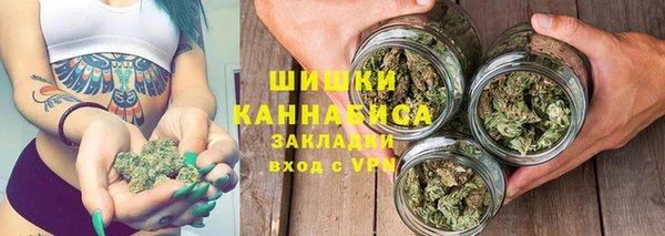 PSILOCYBIN Беломорск