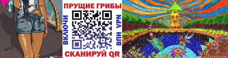 где купить наркоту  Фурманов  Галлюциногенные грибы Psilocybe 