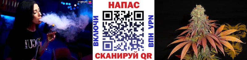 сколько стоит  Фурманов  Конопля индика 